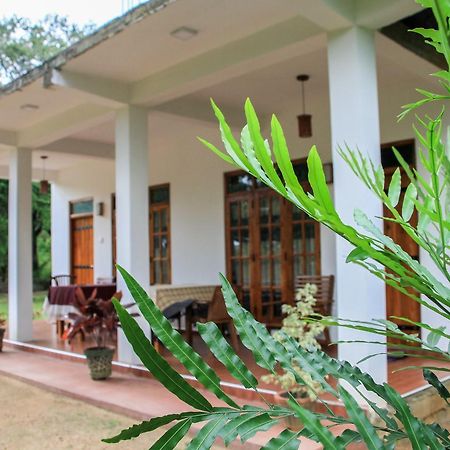 Sigiri Lion Villa Sigiriya Exterior photo