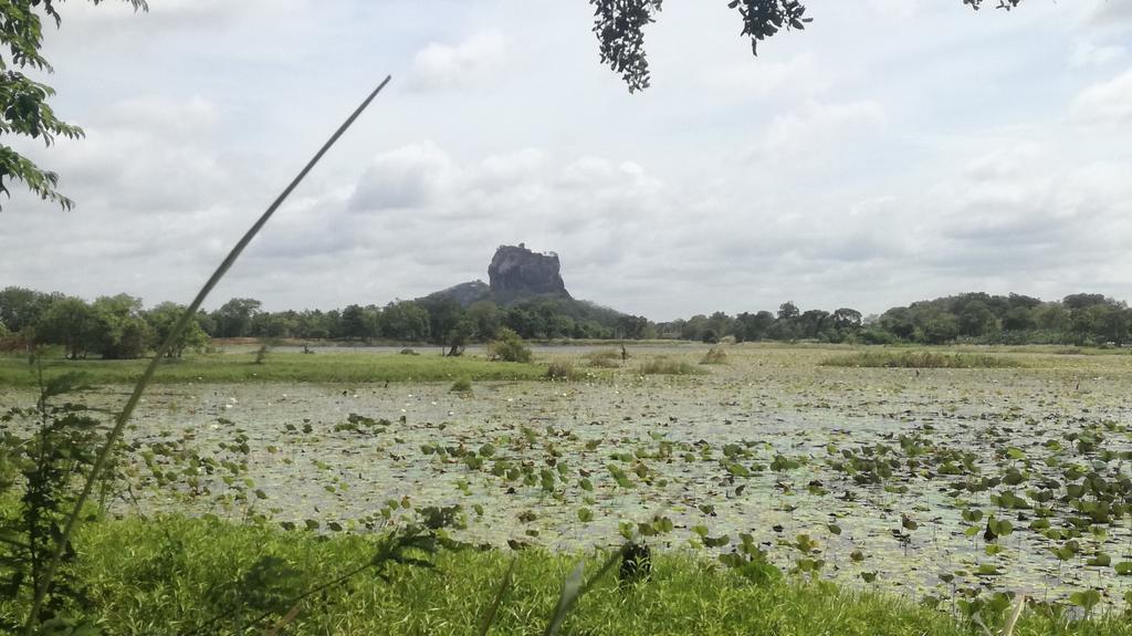 Sigiri Lion Villa Sigiriya Exterior photo